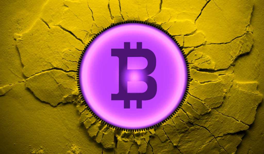 پی پل، موتور محرک قیمت بیت کوین